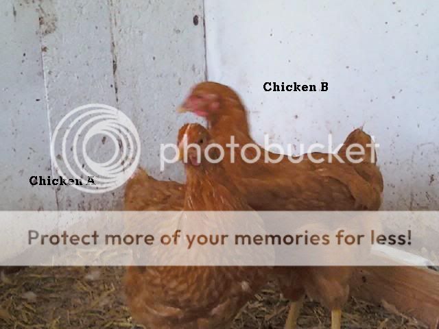 0503001009.jpg