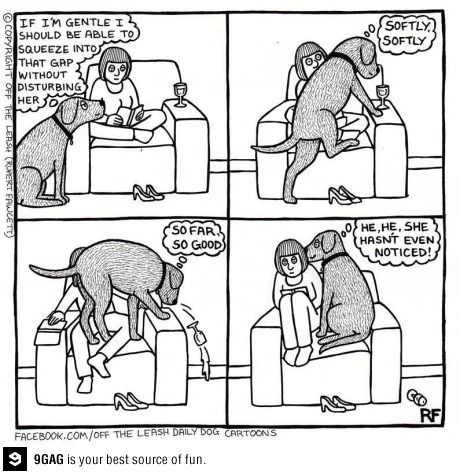 3ae9af7401d33ce9ce34c2a2f49f1fb0.jpg