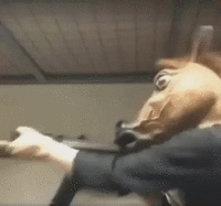 4d8.gif