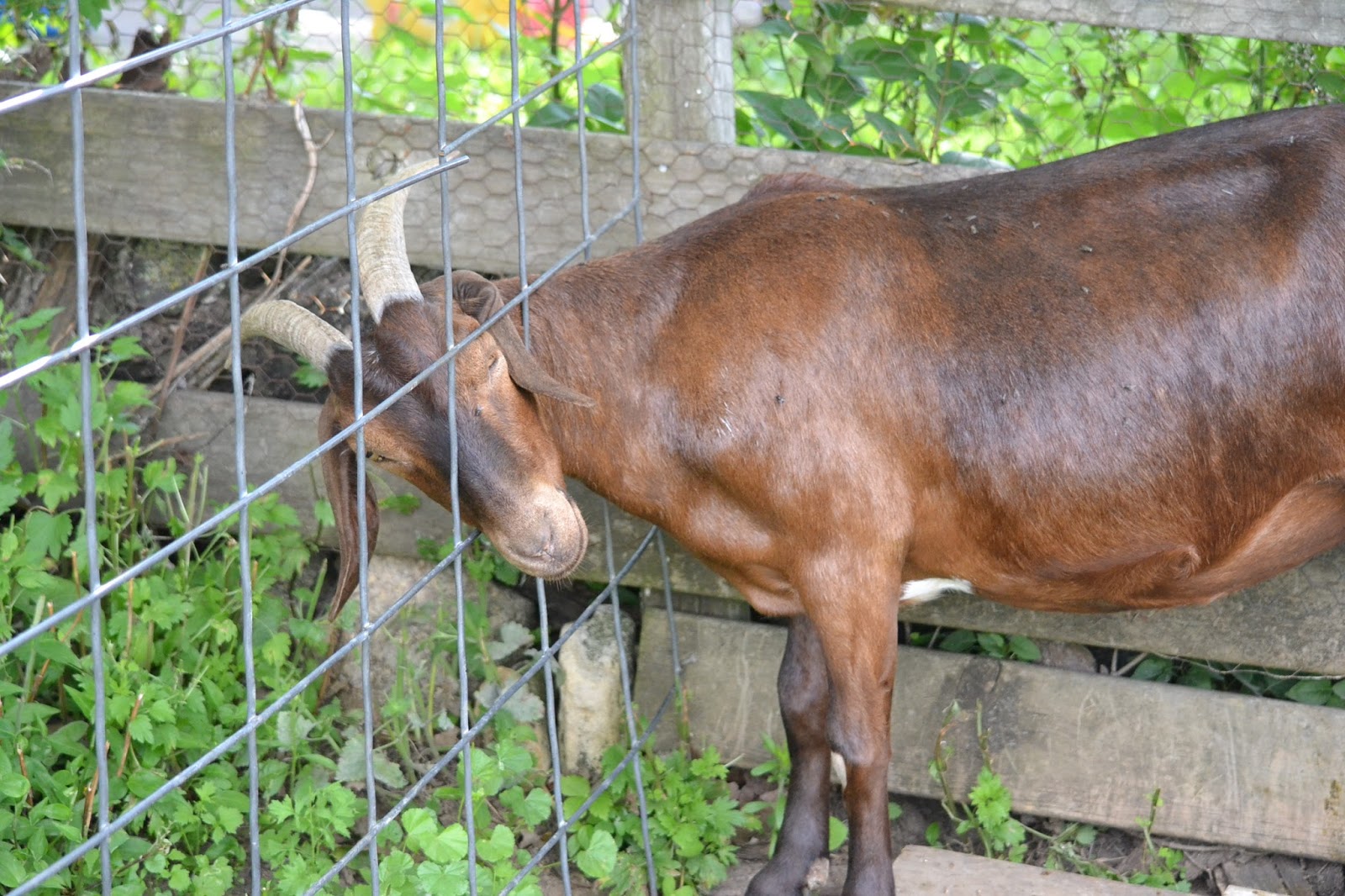 DSC_0062.JPG