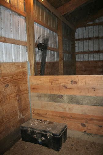 amercaunaprincessII030708.jpg