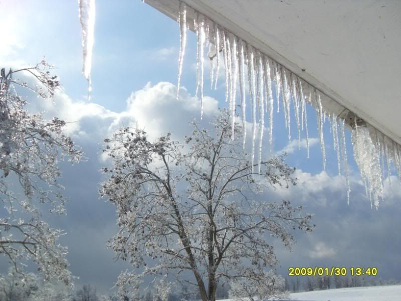 SDC11550.jpg