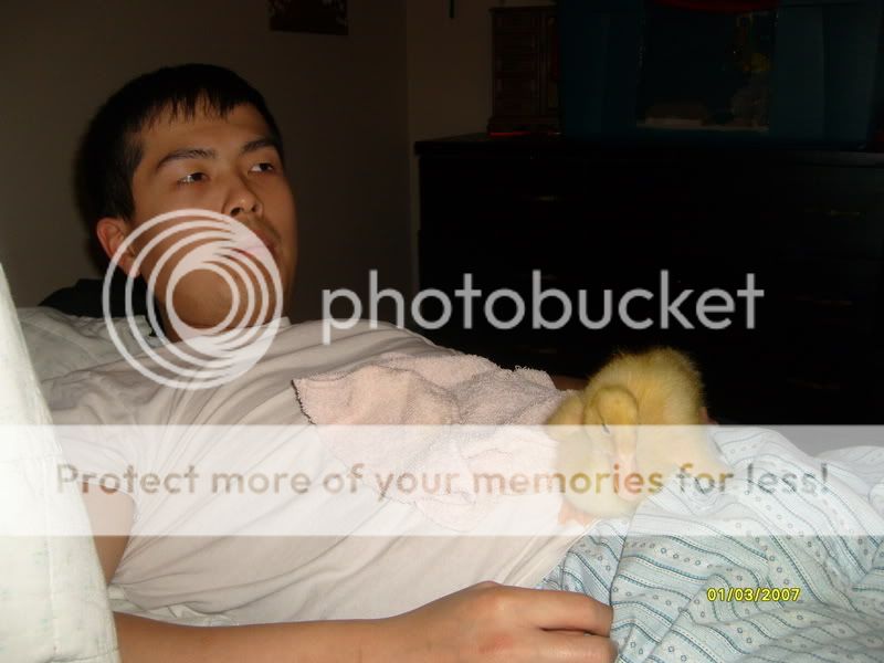 S7305945.jpg