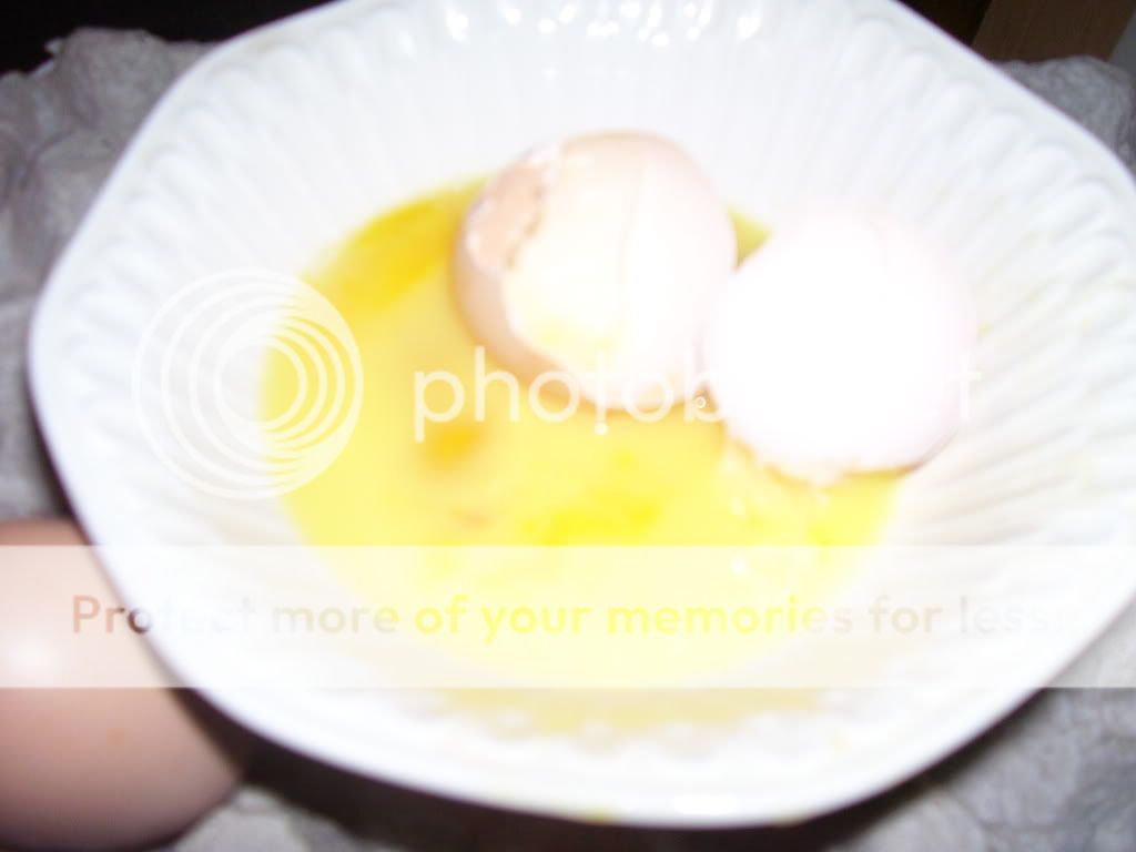 102_3287.jpg