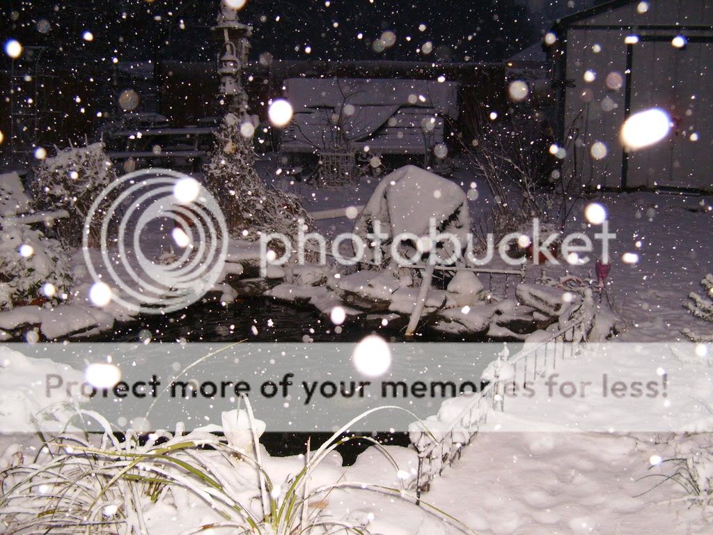 HPIM9894.jpg