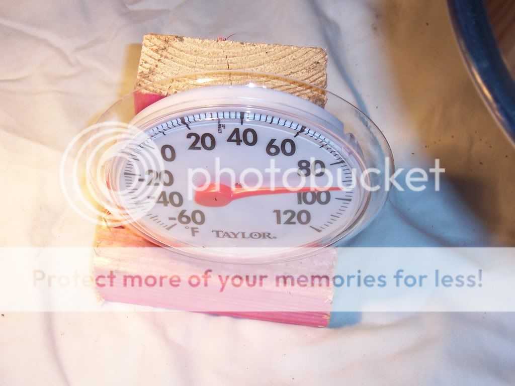 CoopPicsonthumbdrive012.jpg
