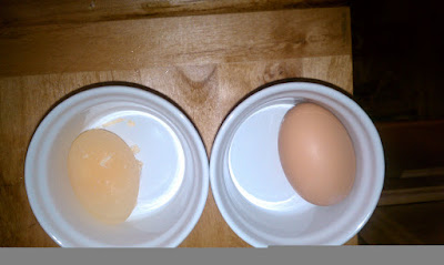 IMAG0460.jpg