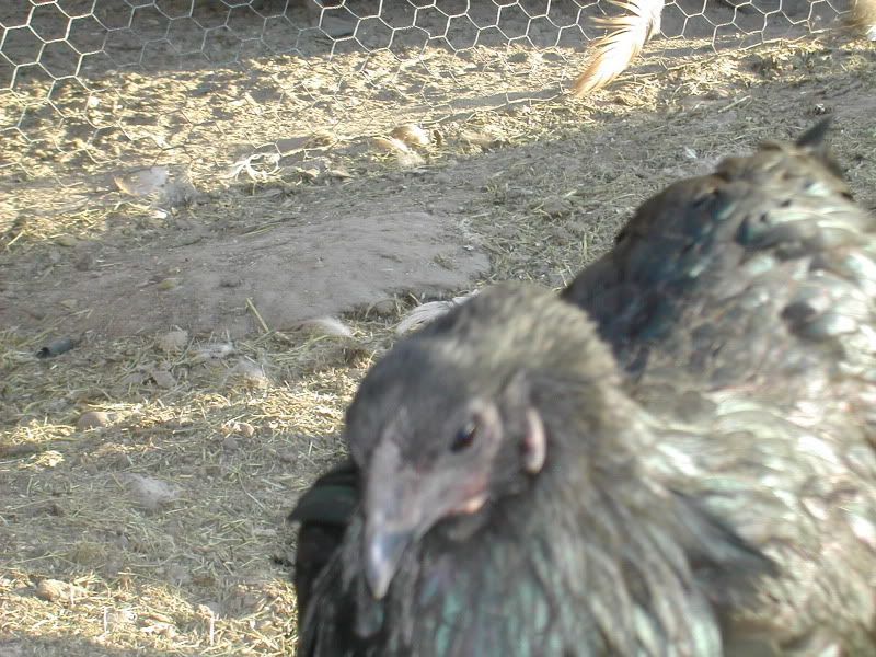 DSCN3150.jpg