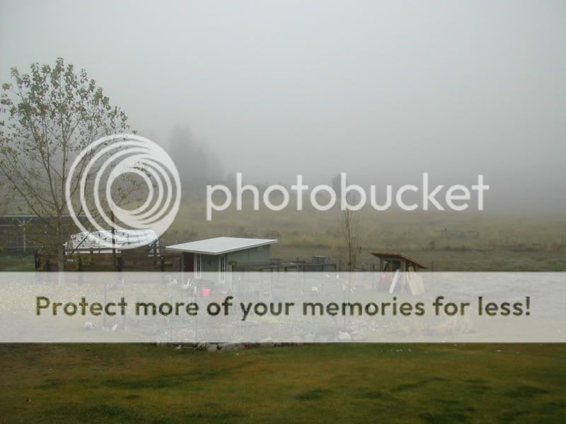 DSCN4942.jpg