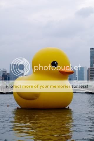 IMG_3854.jpg