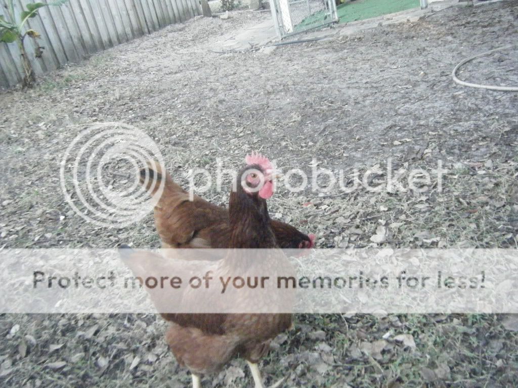 DSCF5375.jpg