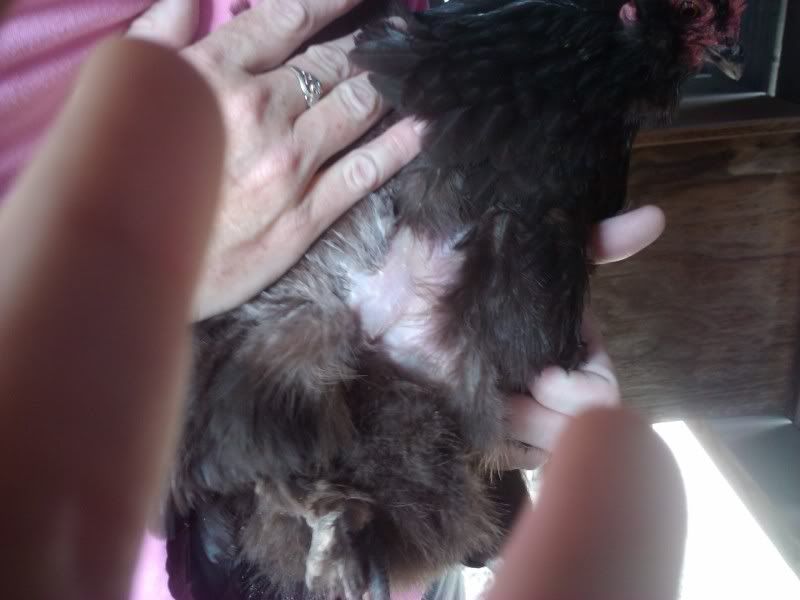 2011-05-21153149.jpg