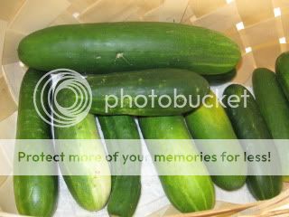 IMG_2094.jpg