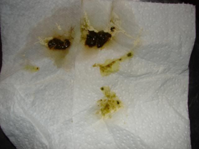 DSC02235.jpg