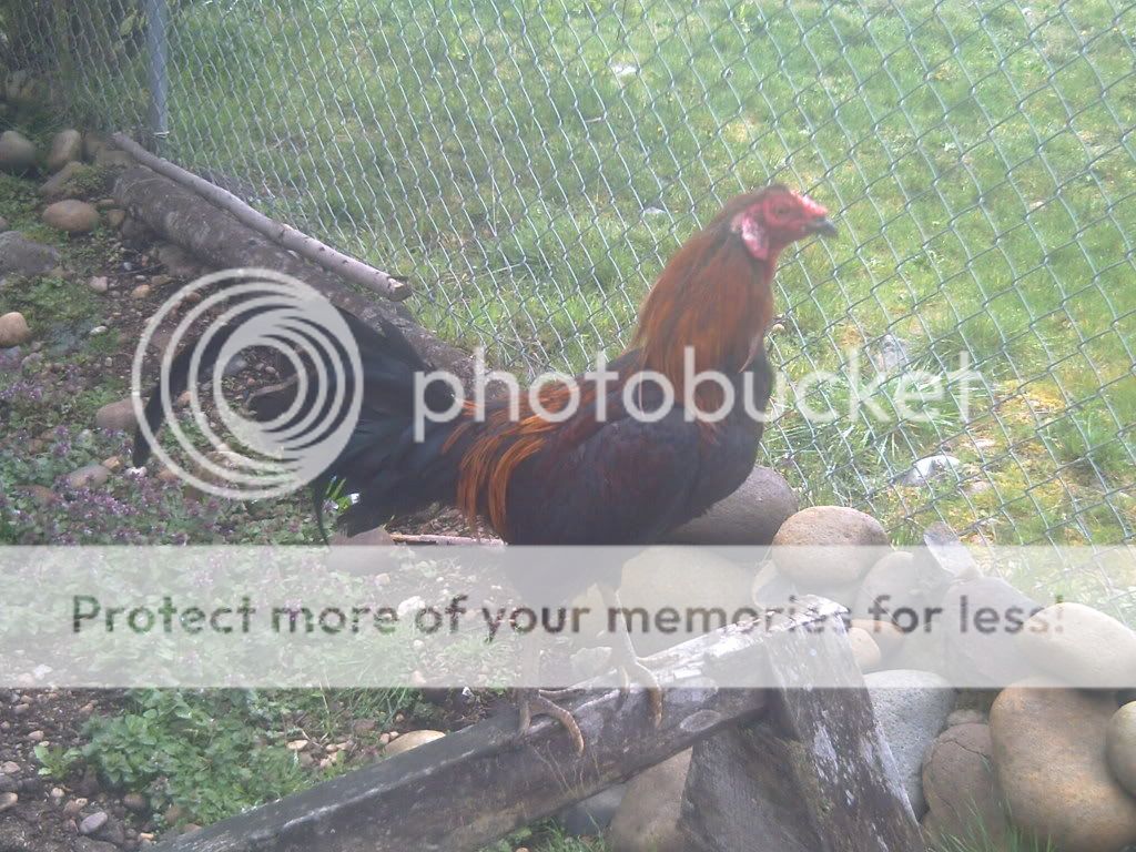 PICT0023.jpg
