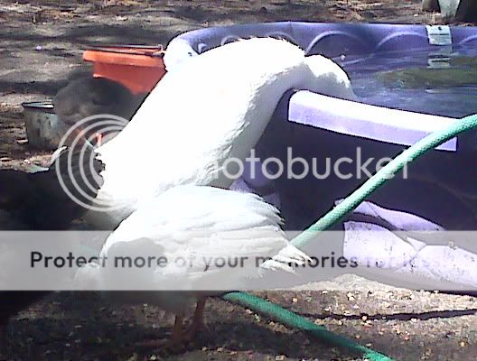 IMG01582.jpg