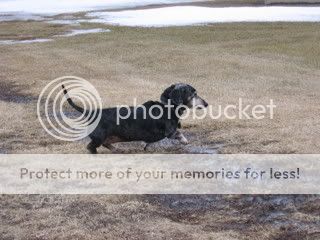 IMG_0380.jpg
