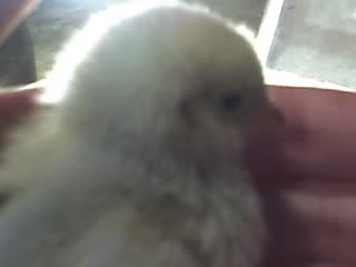 05-07-08_1409.jpg