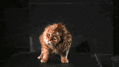 tumblr_mlv35g0GlD1s2mmayo1_400.gif