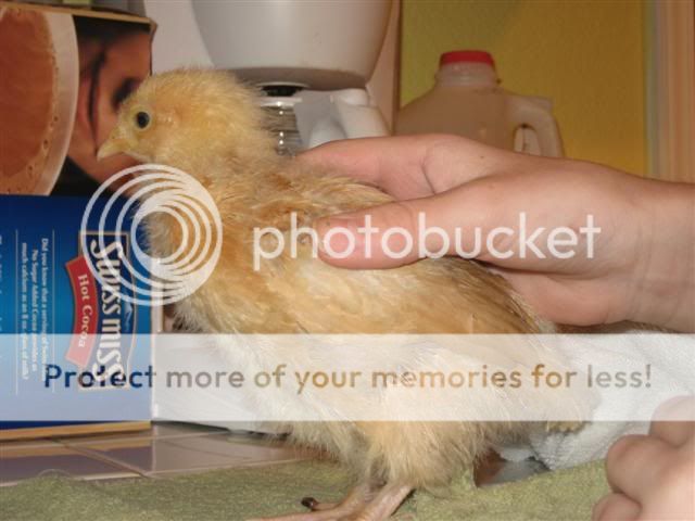 IMG_0655Small.jpg