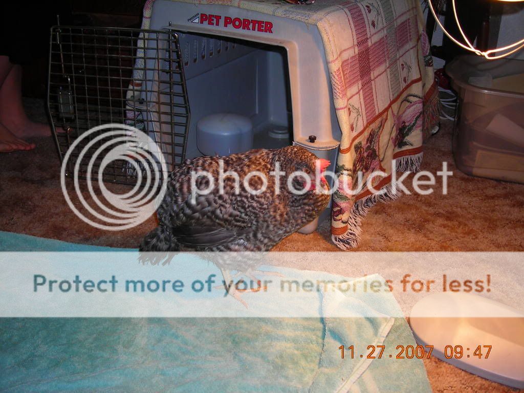 DSCN1444.jpg