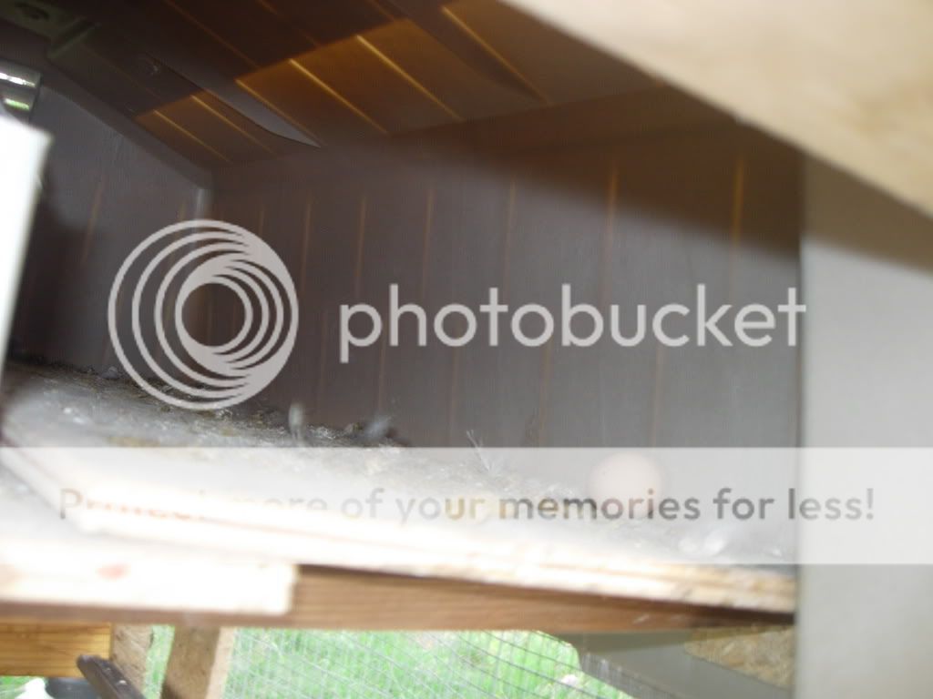 DSCN2860.jpg