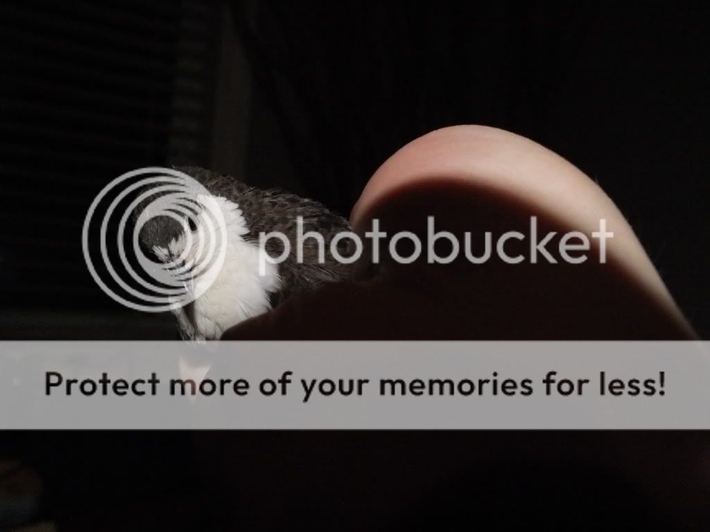 DSCF9144.jpg