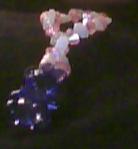 bear_bracelet_by_purplephoneixstar-d38e3nv.jpg