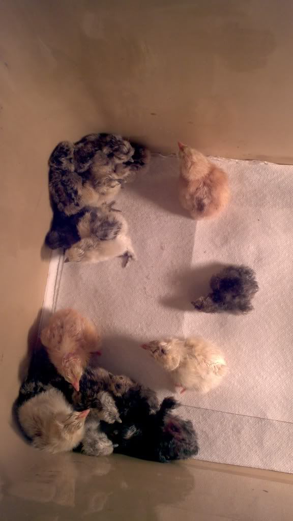 2011-09-08_17-15-09_28.jpg