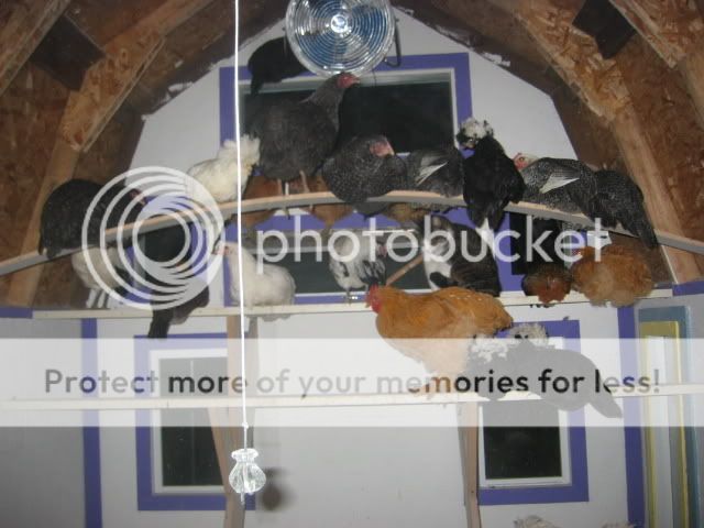 100_0010-13.jpg