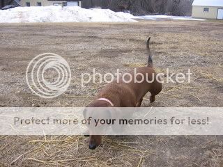 IMG_0377.jpg