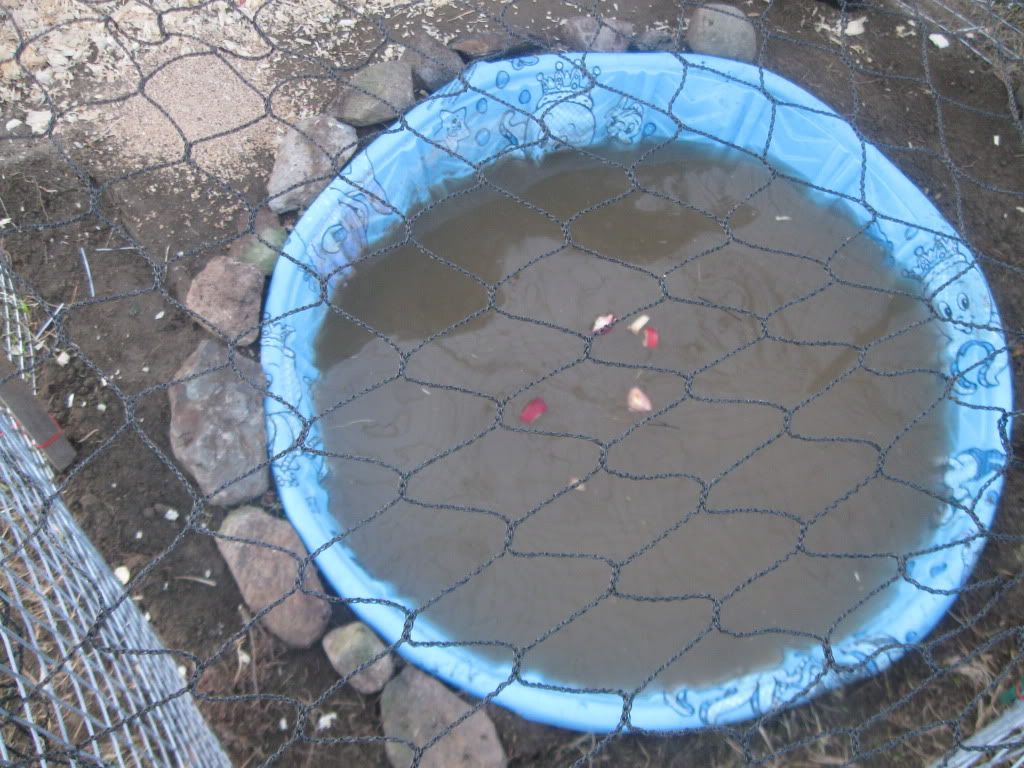 006-2.jpg