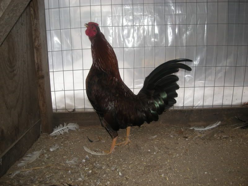 DSCN6869.jpg