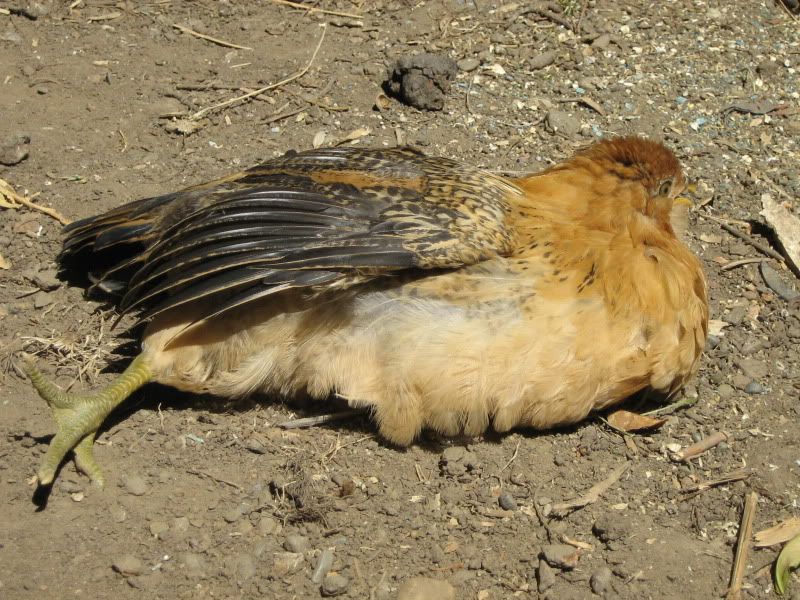 MunkandJoon059.jpg