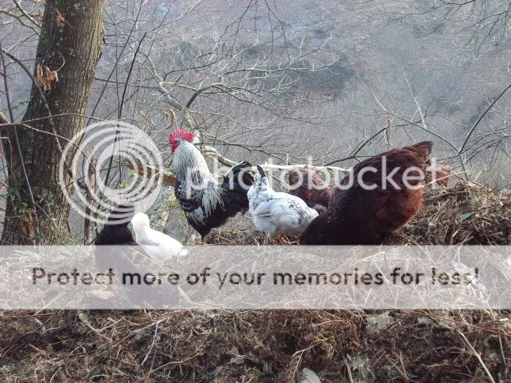 IMGP2807.jpg