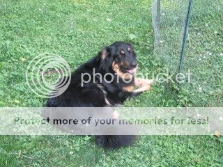 IMG_0811.jpg