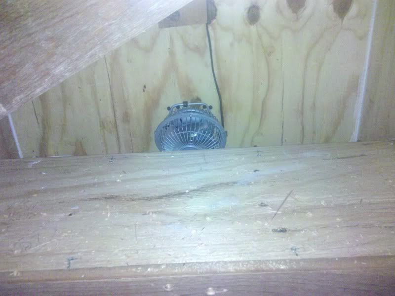 2011-06-16_19-21-11_453.jpg