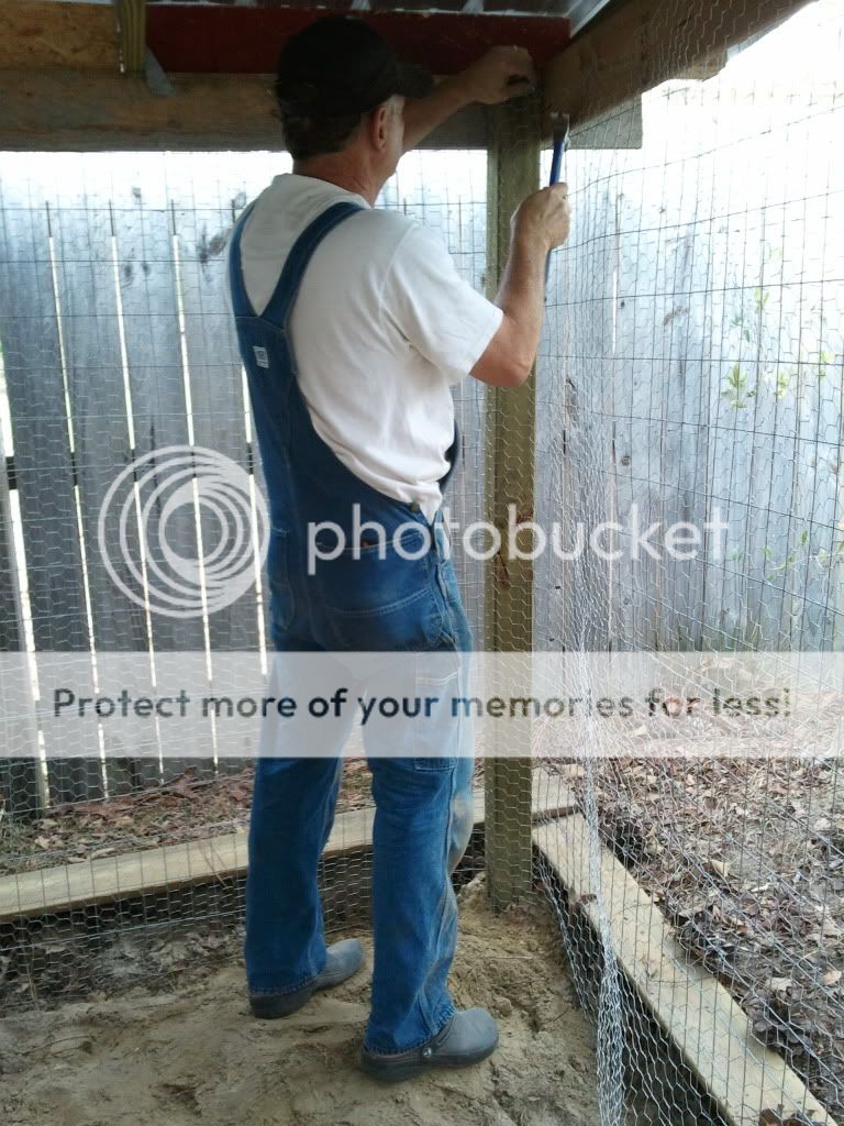 2011-03-05140056.jpg