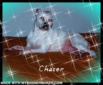 chaser112.gif
