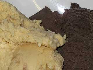ChocolateandVanillaIceCream006small.jpg