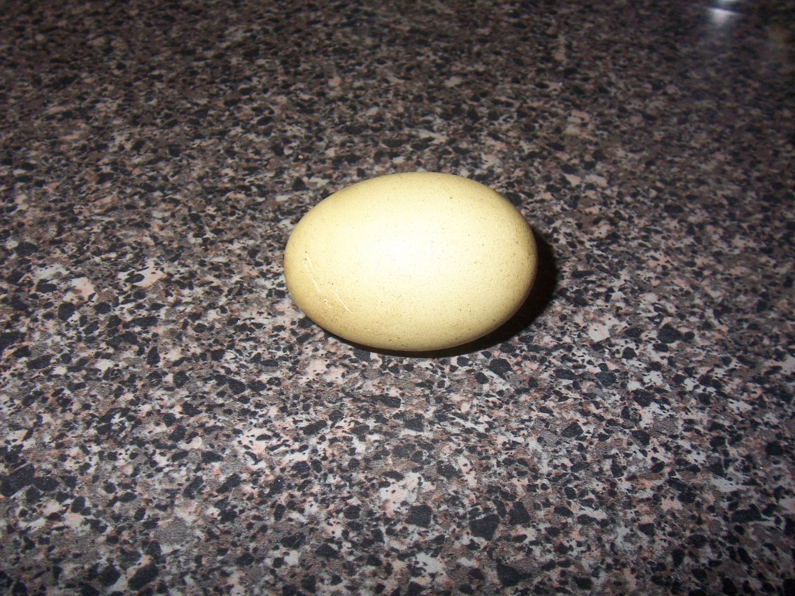 100_7238.JPG