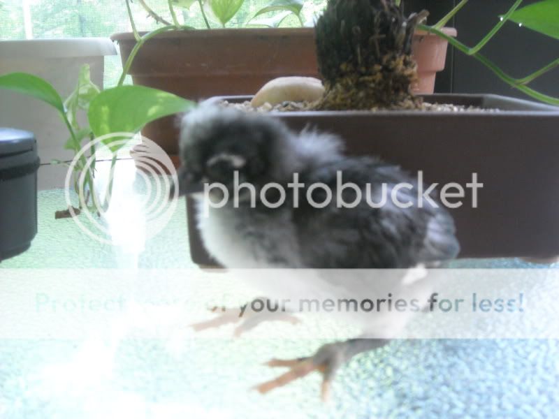 DSCN0190.jpg