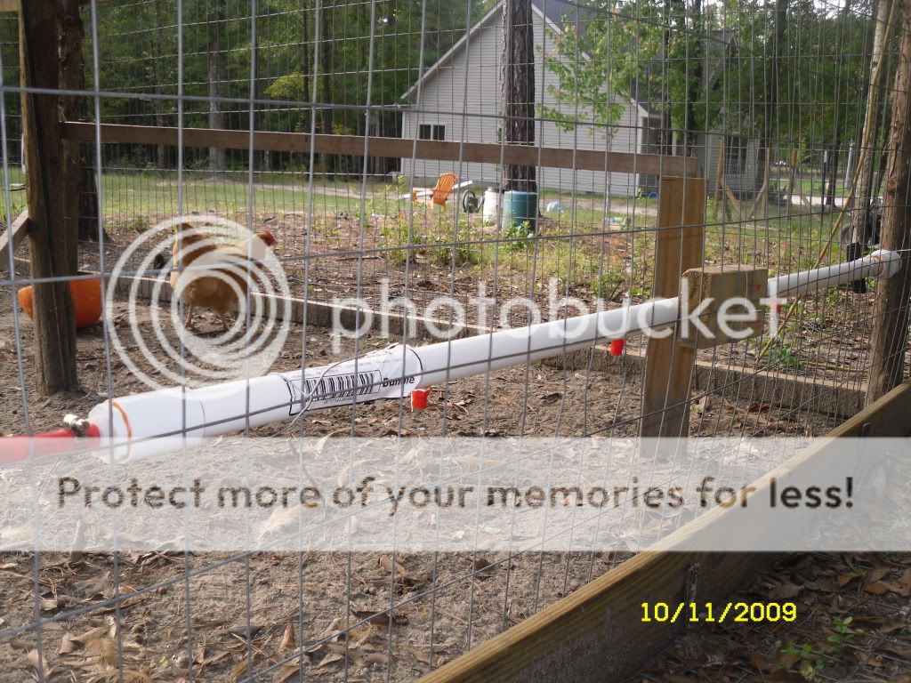 SDC10263.jpg