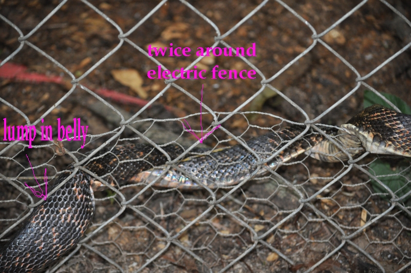 3739192973_657f20bb48_o.jpg