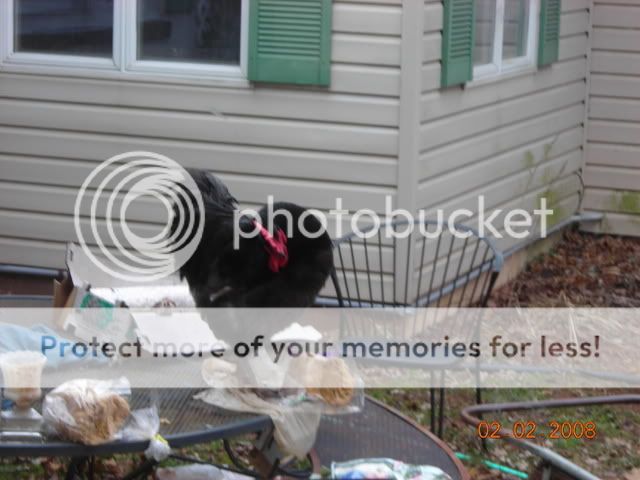 DSCN0940.jpg