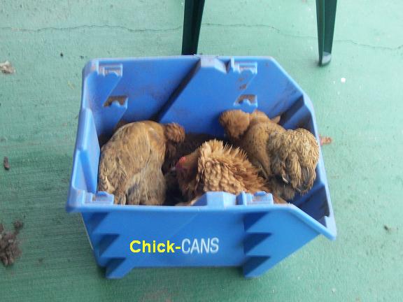 chick-cans.jpg