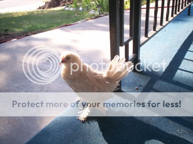 100_1751.jpg
