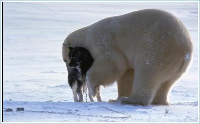 image005Small.jpg