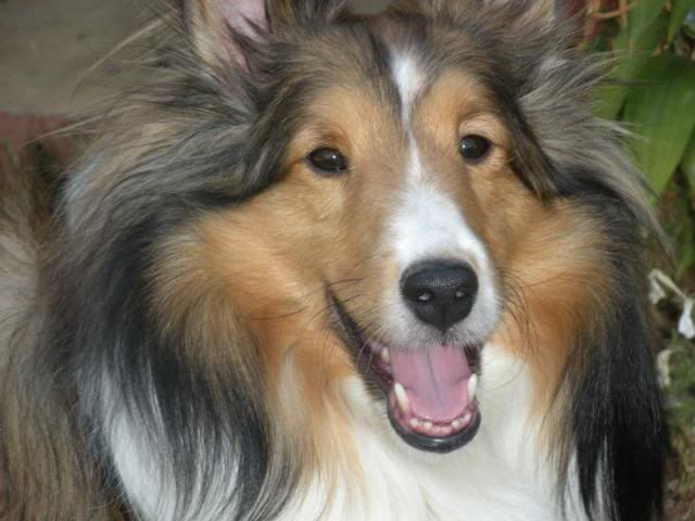 DSCN0123.jpg
