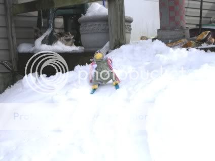 Ski2.jpg